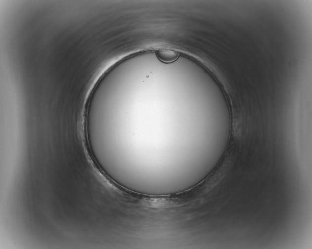 X0000103910903200809261607