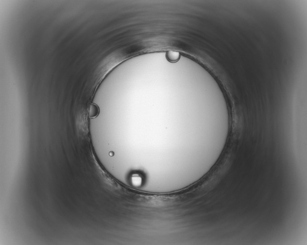 X0000103910905200809261607