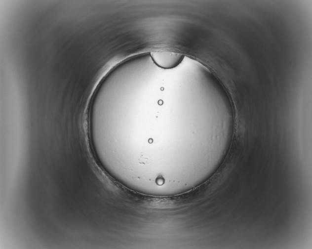 X0000103910907200809261607