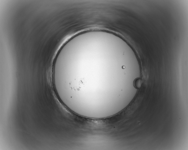 X0000103910911200809261607