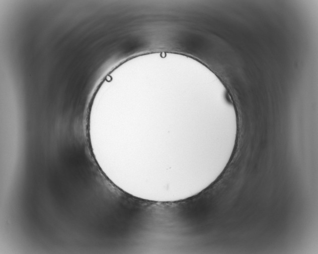 X0000103910912200809261607