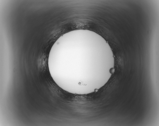 X0000103910914200809261607