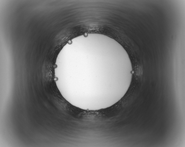 X0000103910916200809261607