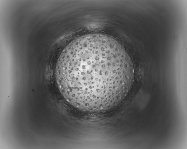 X0000103910917200809261607