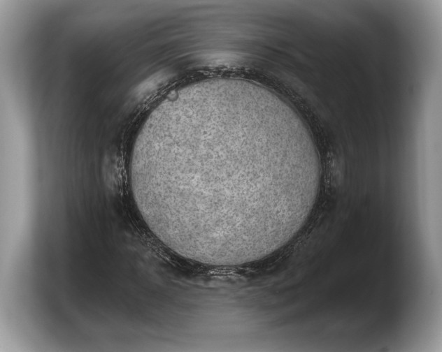 X0000103910918200809261607