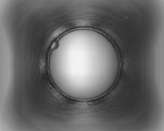 X0000103910922200809261607