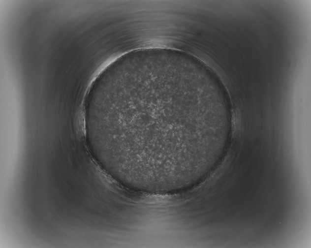 X0000103910925200809261607
