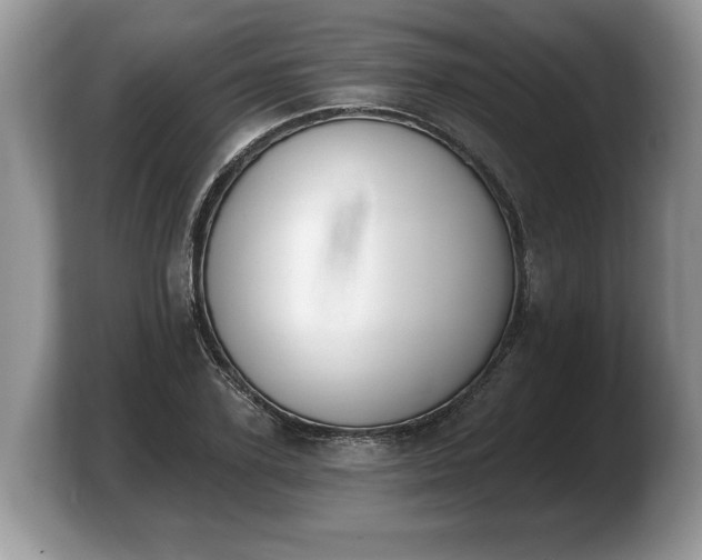 X0000103910931200809261607