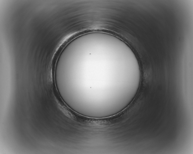 X0000103910934200809261607