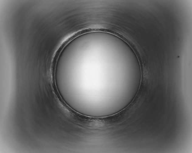 X0000103910935200809261607
