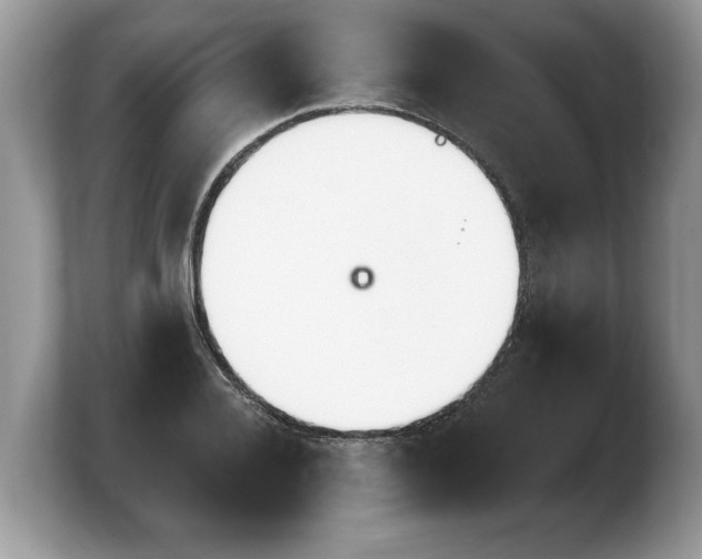 X0000103910936200809261607