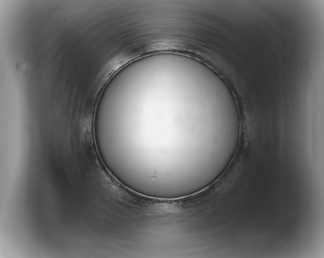 X0000103910937200809261607