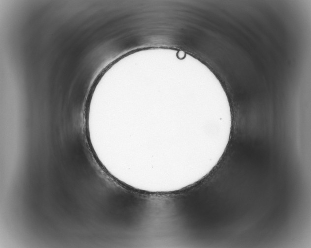 X0000103910944200809261607