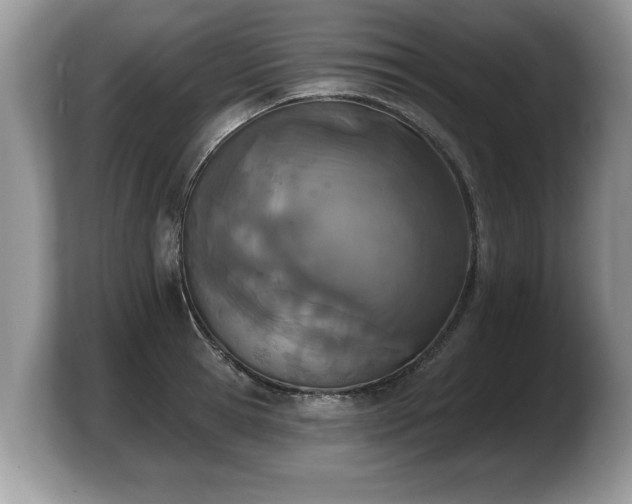 X0000103910945200809261607