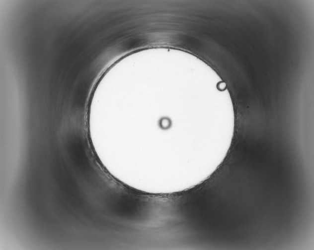 X0000103910948200809261607
