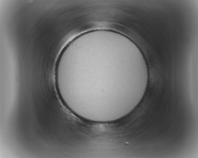 X0000103910950200809261607