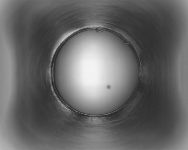 X0000103910951200809261607