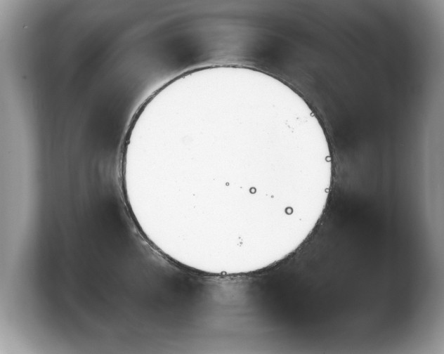 X0000103910952200809261607