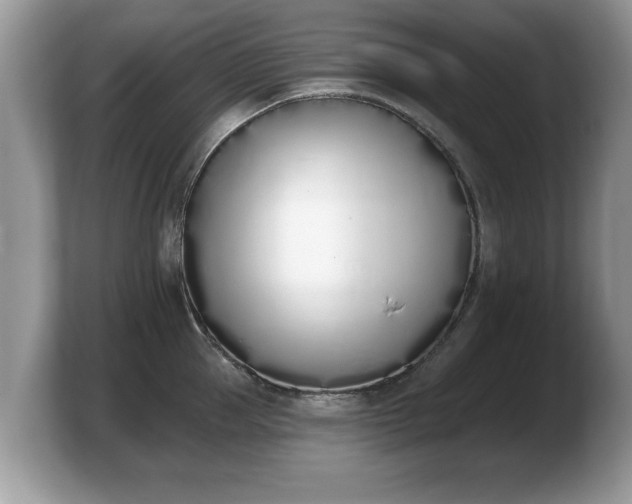 X0000103910953200809261607