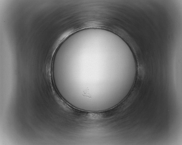 X0000103910954200809261607