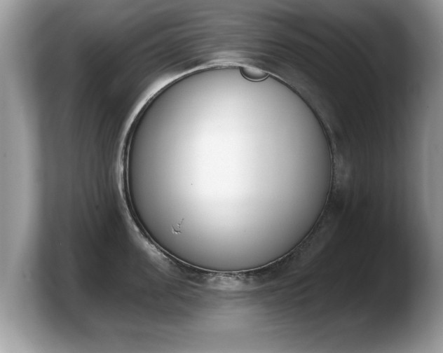 X0000103910955200809261607