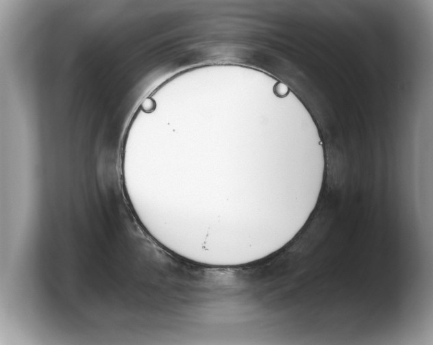 X0000103910956200809261607