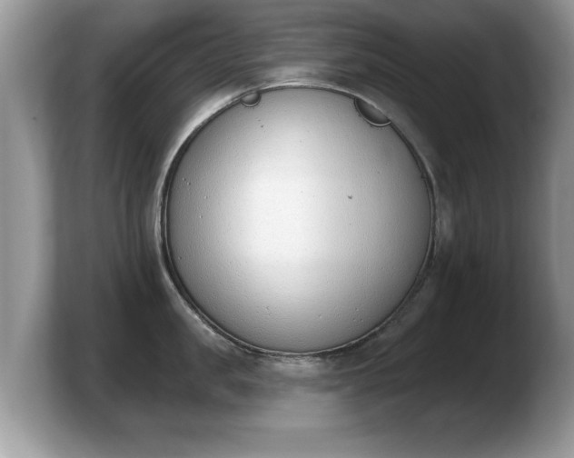 X0000103910957200809261607
