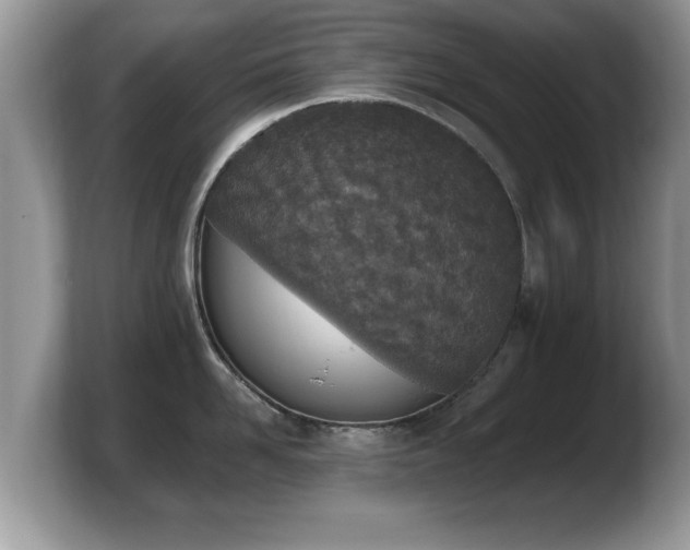 X0000103910958200809261607