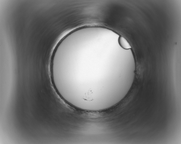 X0000103910959200809261607