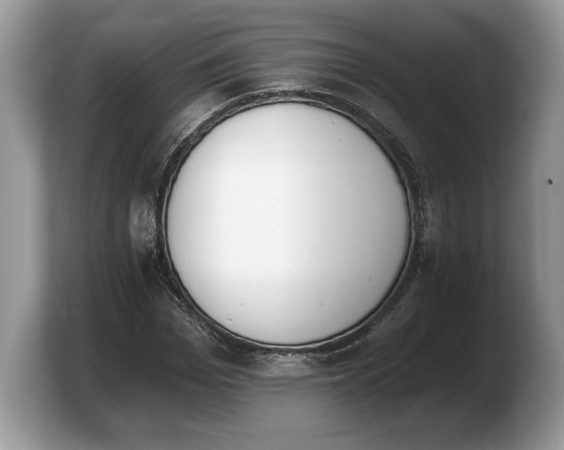 X0000103910969200809261606