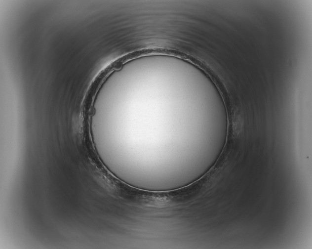 X0000103910975200809261606