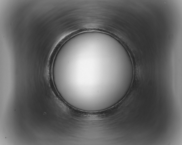 X0000103910976200809261606