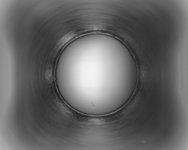 X0000103910977200809261606
