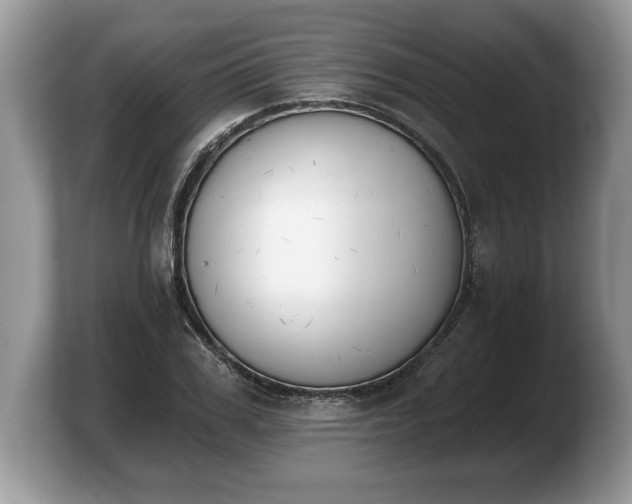 X0000103910979200809261606