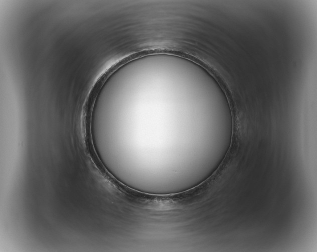 X0000103910983200809261606
