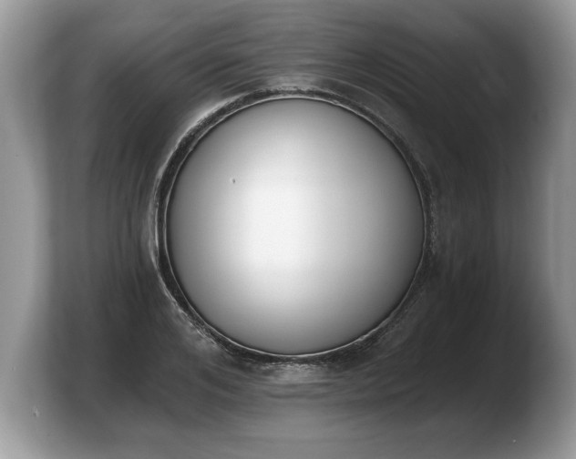 X0000103910984200809261606