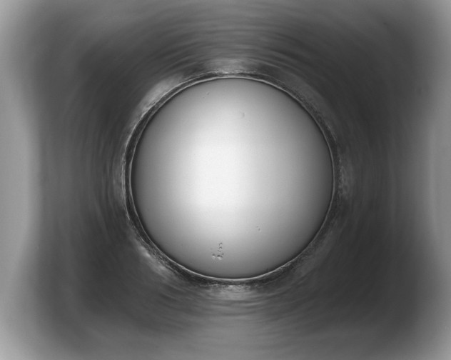 X0000103910986200809261606