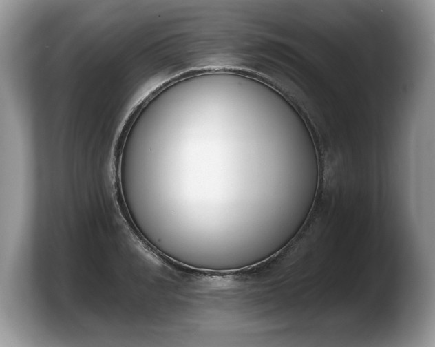 X0000103910990200809261606