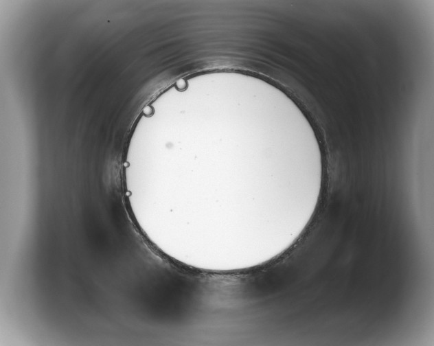 X0000103910993200809261606