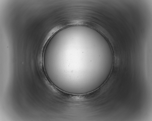 X0000103910994200809261606