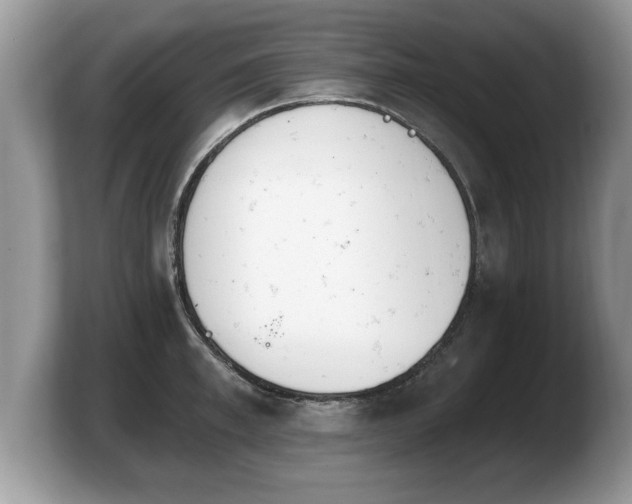 X0000103910997200809261606
