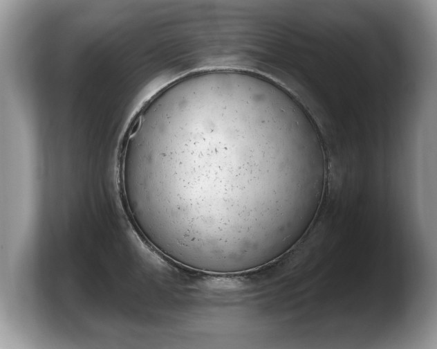 X0000103910998200809261606