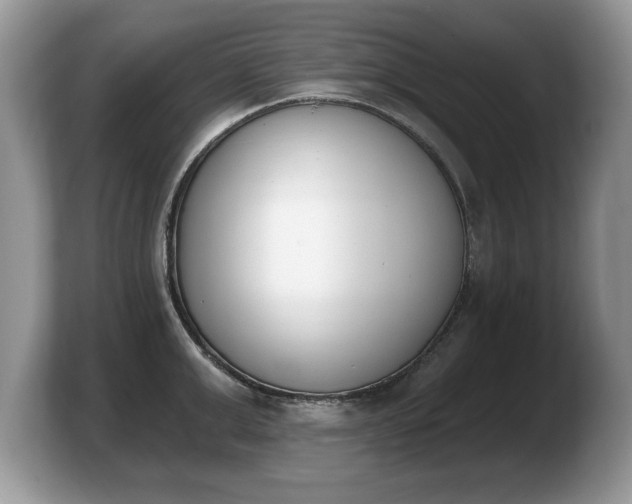 X0000103910999200809261606