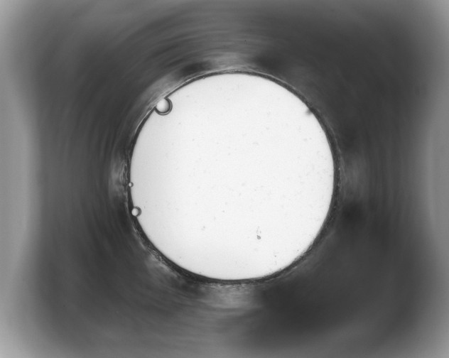 X0000103911001200809261606