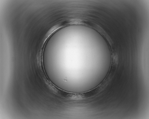 X0000103911002200809261606