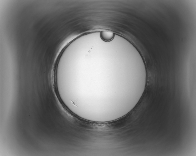 X0000103911003200809261606
