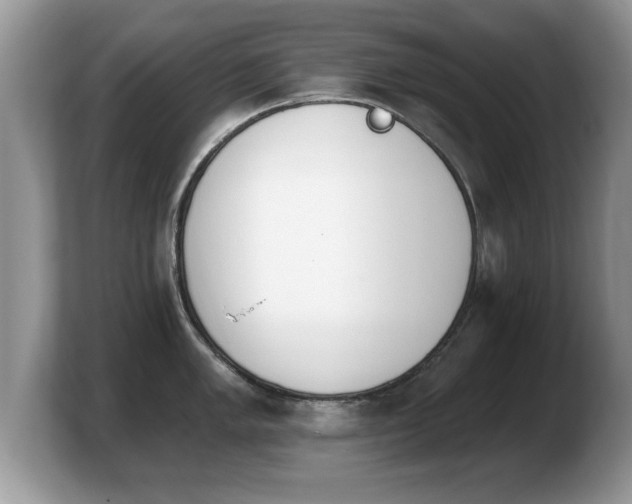 X0000103911005200809261606