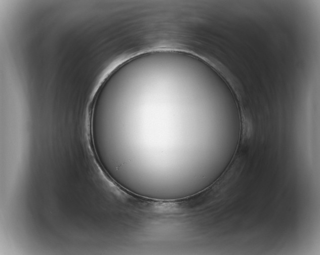 X0000103911006200809261606