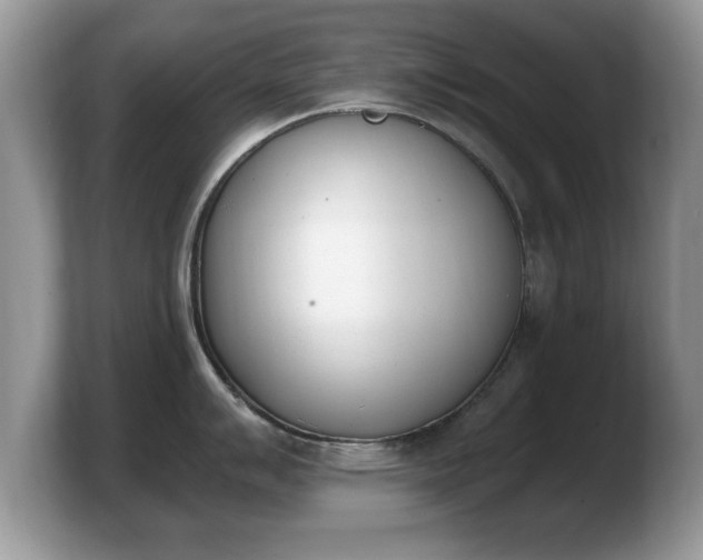X0000103911007200809261606