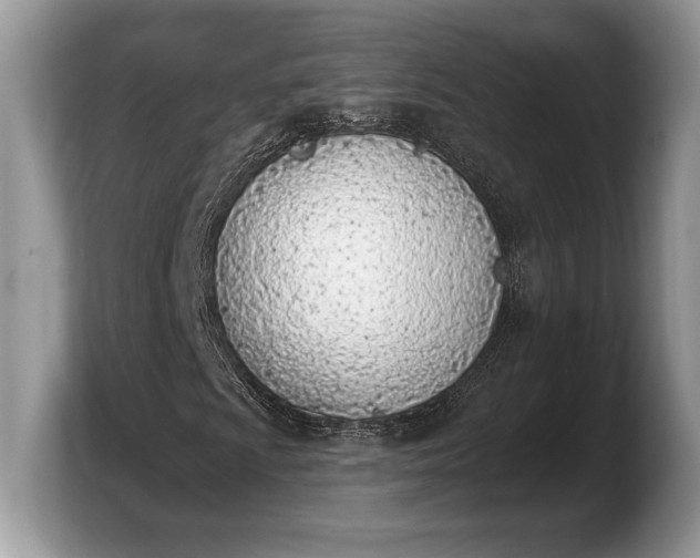 X0000103911009200809261605
